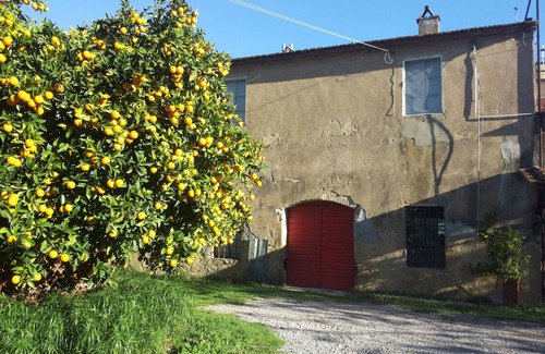 Donoratico Apartment | Apartment in country house between sea and culture Apartment/flat - Castagneto CarducciApartment in Farmhouse