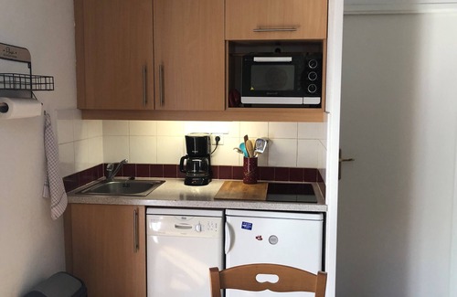 Puy-Saint-Vincent Apartment | APARTMENT IN RESIDENCE NEAR PISTE