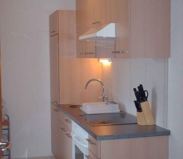 Medraz Apartment | Apartment in Fulpmes - Tirol 711