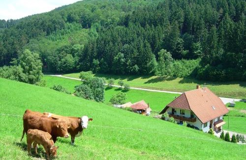 Hofstetten Apartment | Apartment in Hofstetten surrounded by nature