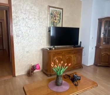Mostar Apartment | Apartment in Lipa street