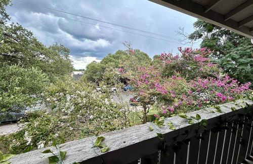 Waters Park Apartment | Apartment In North Austin