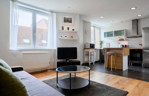 Old Lille Apartment | Apartment in Old Lille