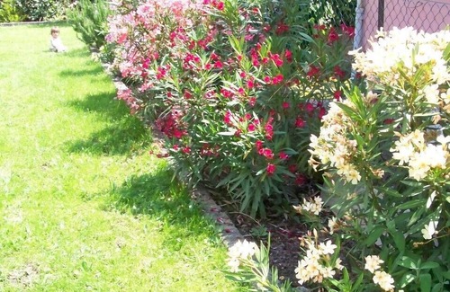Dolcedo Apartment | Apartment in Palazzo of the 17th century w/garden, near sea