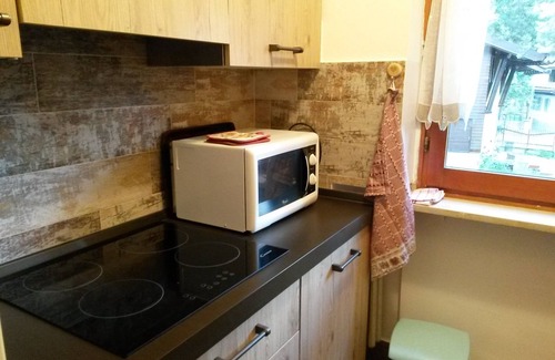 Bardonecchia Apartment | Apartment in pine forest 200 meters from the ski slopes !