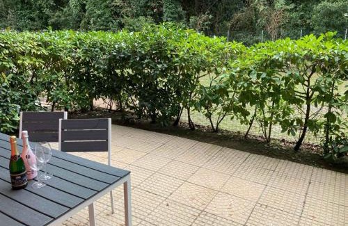 Rosapineta Apartment | Apartment in Rosolina Mare 54342