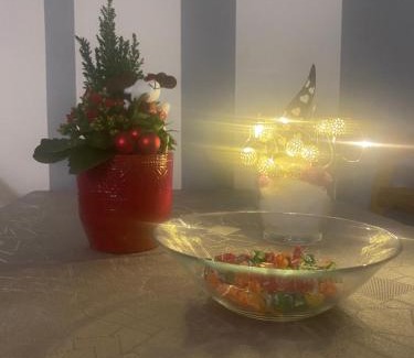 Varazdin Apartment | Apartment in the city center