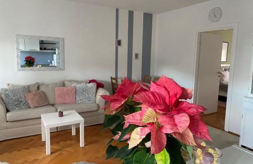 Varazdin Apartment | Apartment in the city center