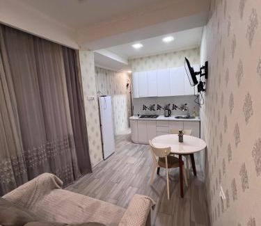 Kutaisi Apartment | apartment in the city