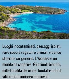 Porto Torres Apartment | Apartment in villa with garden 1