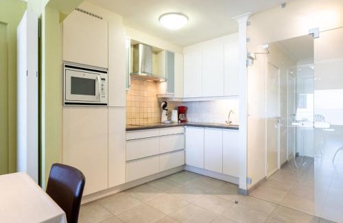 Blankenberge Apartment | Apartment in Zeedijk with Sea View Terrace