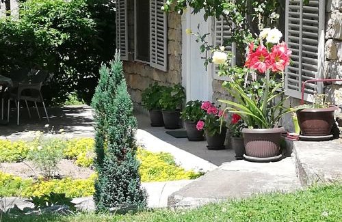 Golubac Apartment | Apartment Jazz