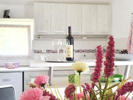 Radanovici Apartment | Apartment Jelena Sutvara