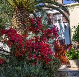 Veli Losinj Apartment | Apartment Julia