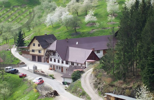 Lautenbach Apartment | Apartment 'Kirschzauber' with Shared Terrace, Balcony and Wi-Fi