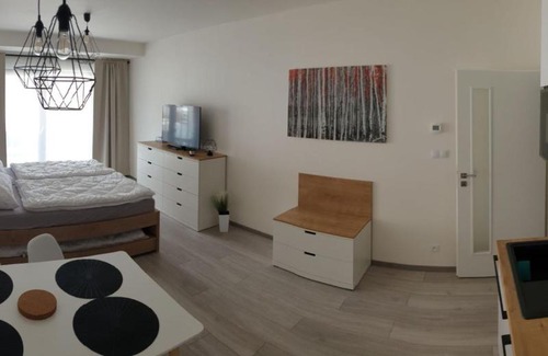 Lipno nad Vltavou Apartment | Apartment Korzo 318-3 Lipno Home