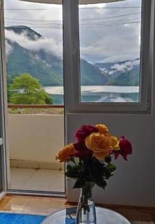 Pluzine Apartment | Apartment Lake story