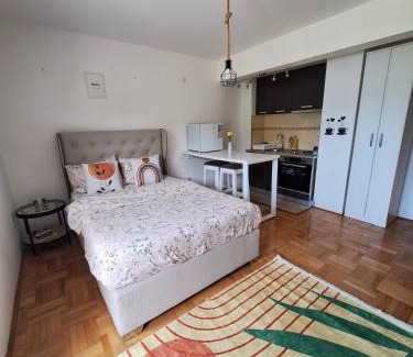 Pluzine Apartment | Apartment Lake story