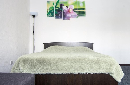 Magnitogorsk Apartment | Apartment Lenina 142/2
