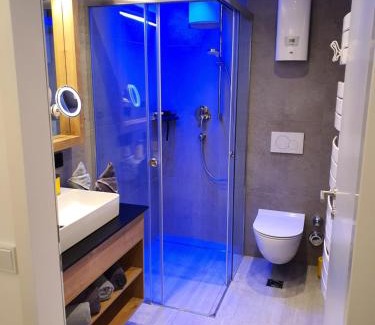 Kaprun Apartment | Apartment Leontina