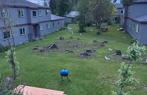 Kenai Apartment | Apartment less than a mile from the mouth of the Kenai River and beach access!