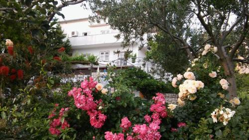 Lopar Apartment | Apartment Lopar