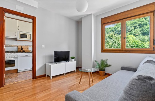 Cangas de Onis Apartment | Apartment 'Los Azules'
