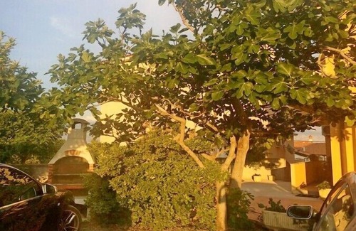 Lopar Apartment | Apartment Maja, (13472), Lopar, hr