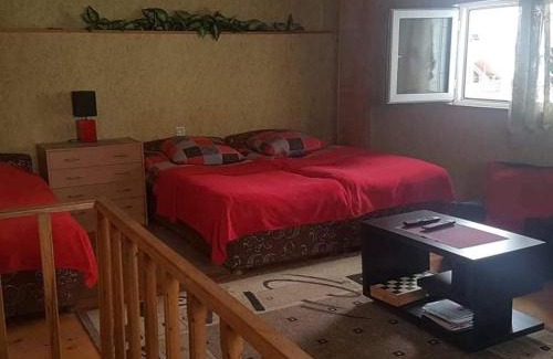 Kazbegi Apartment | apartment megi