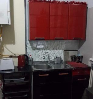 Kazbegi Apartment | apartment megi