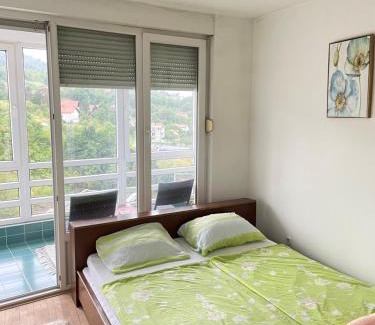 Tuzla Apartment | Apartment Meskovic