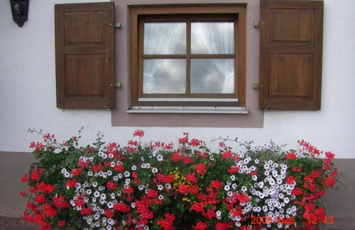 Seelbach Apartment | Apartment 'Mini' with Mountain View, Shared Garden and Wi-Fi