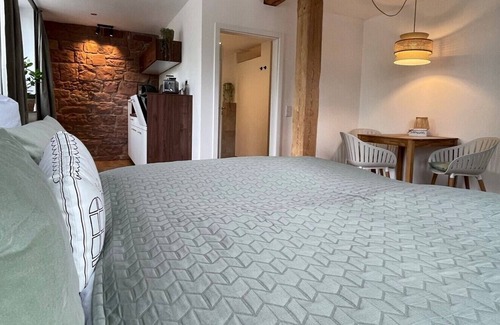 Miltenberg Apartment | Apartment mit Gemeinschaftlicher Terrasse
