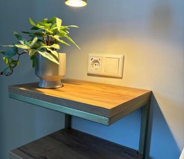 Bad Rothenfelde Apartment | Apartment mit Parkblick