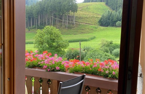 Hornberg Apartment | Apartment 'Mittlere Zimmer' with Mountain View, Balcony and Wi-Fi