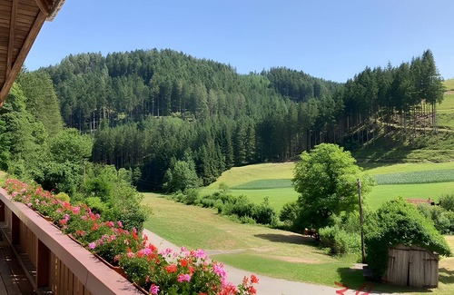 Hornberg Apartment | Apartment 'Mittlere Zimmer' with Mountain View, Balcony and Wi-Fi