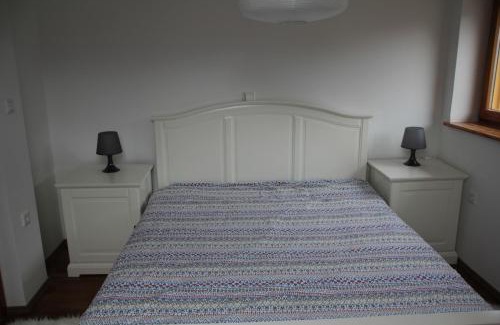 Cezsoca Apartment | Apartment MT Čezsoča