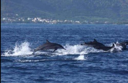 Le Morne Brabant Apartment | Apartment ∙ 2 bedrooms ∙ 4 guests