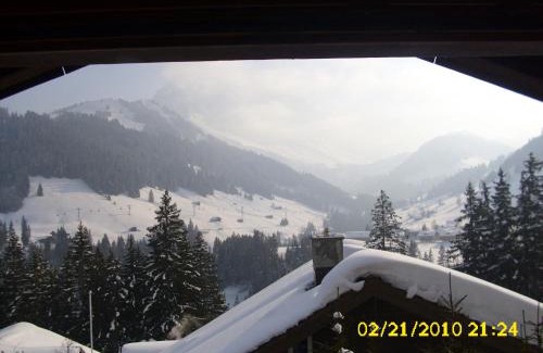 Adelboden Apartment | Apartment Nadeschda