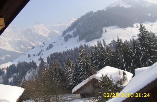 Adelboden Apartment | Apartment Nadeschda