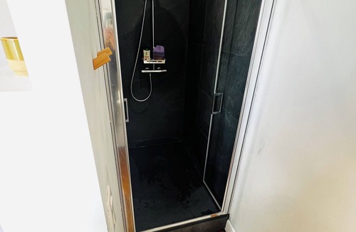 Poincare - Foch - Anatole France - Croix de Bourgogne Apartment | Apartment Nancy thermal/Majorelle