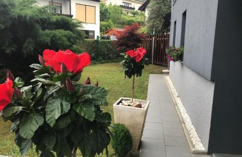 Rogaska Slatina Apartment | Apartment Natalija