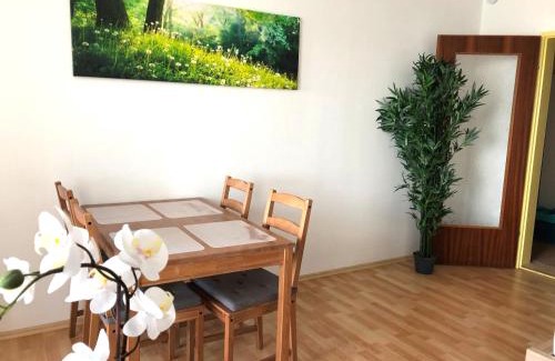 Regensburg Apartment | Apartment Newstyle