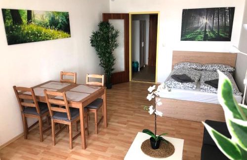 Regensburg Apartment | Apartment Newstyle