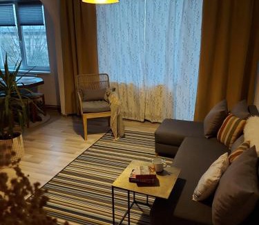 Carei Apartment | Apartment next to castle park