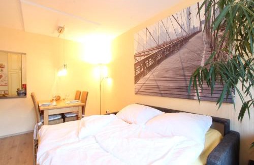Niedernsill Apartment | Apartment Niedernsill near Ski Slopes