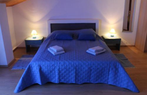 Rovinjsko Selo Apartment | Apartment Nikolena