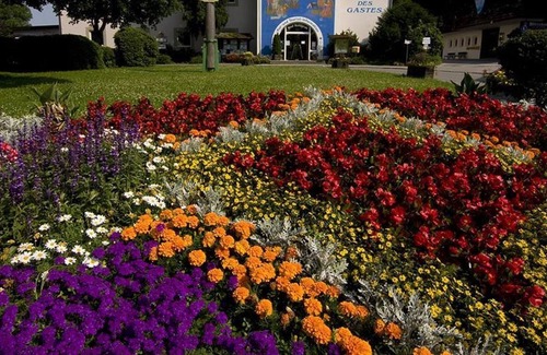 Bad Kohlgrub Apartment | Apartment (No. 2) - Spa Siass