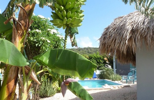 Fontein Apartment | Apartment Paradise 4 with a fantastic pool