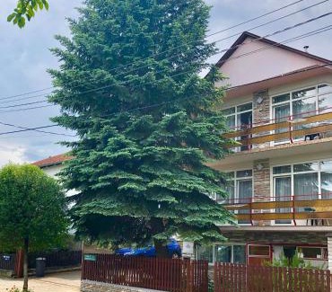 Heviz Apartment | Apartment Pension Rideg Heviz
